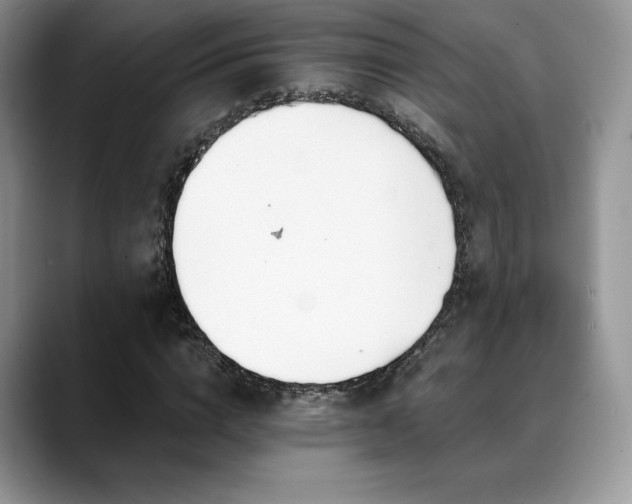 X0000088910824200706081340