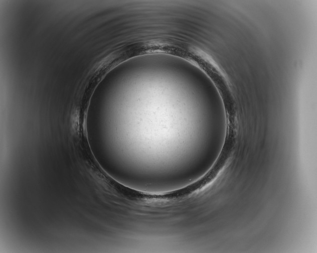 X0000088910825200706081340