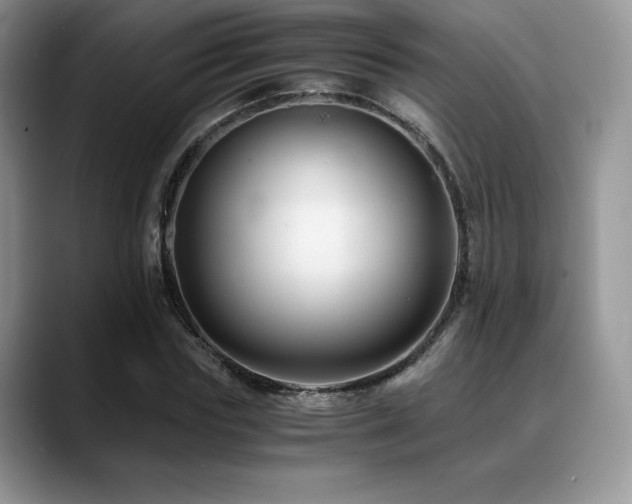 X0000088910827200706081340