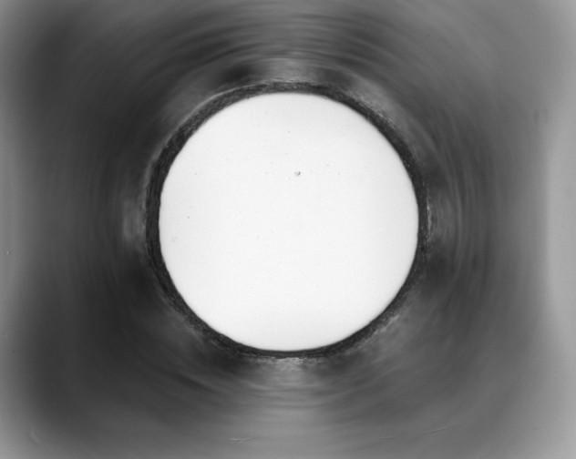 X0000088910828200706081340