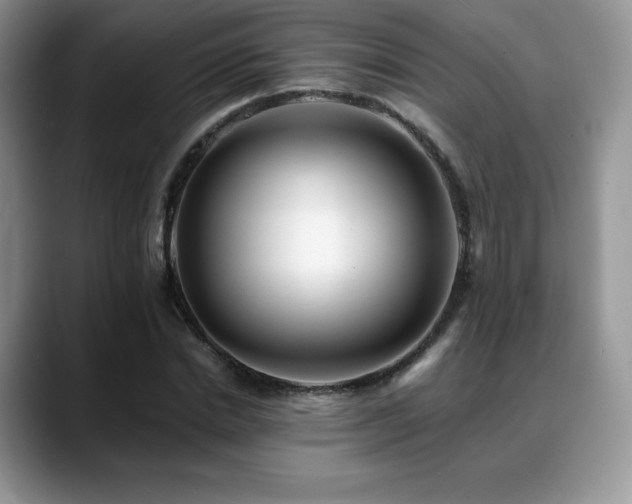 X0000088910830200706081340