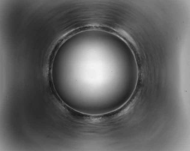 X0000088910831200706081340