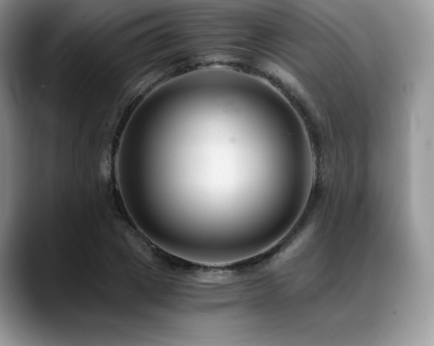 X0000088910833200706081340