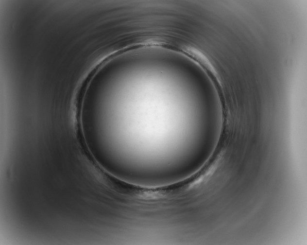 X0000088910835200706081340
