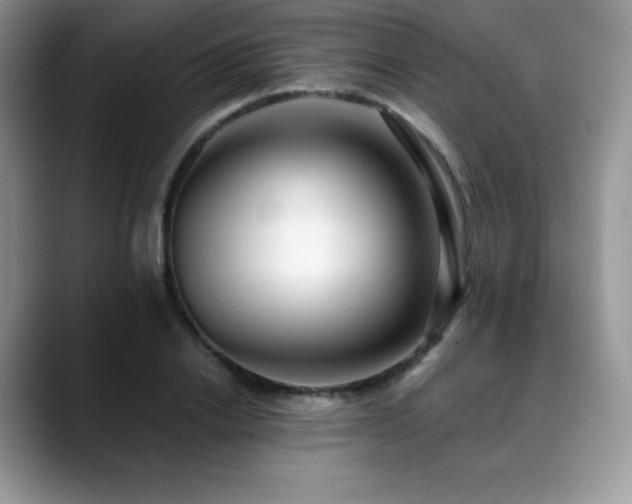 X0000088910838200706081340