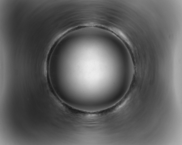 X0000088910839200706081340