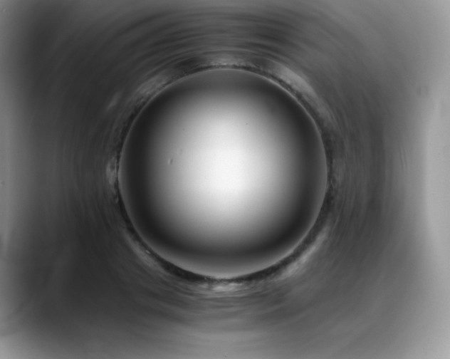 X0000088910841200706081340