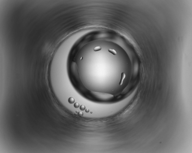X0000088910842200706081340