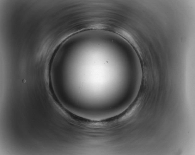 X0000088910843200706081340
