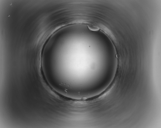 X0000088910844200706081340