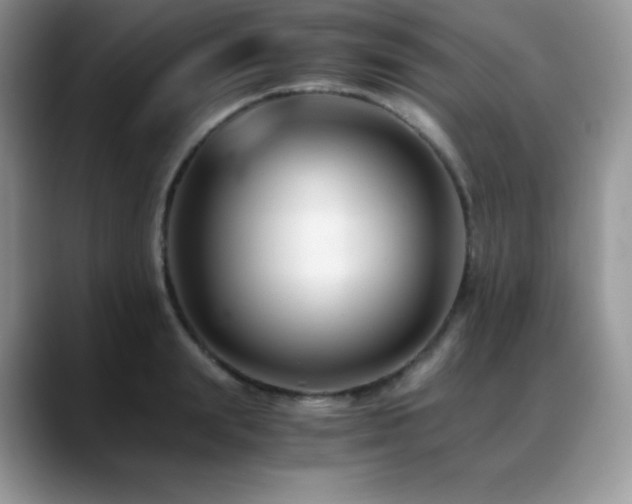 X0000088910847200706081340