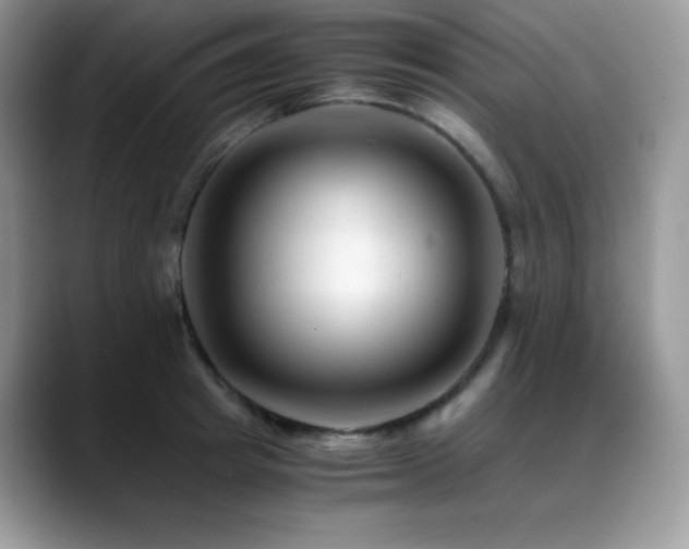 X0000088910849200706081340