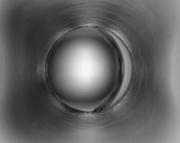 X0000088910850200706081340