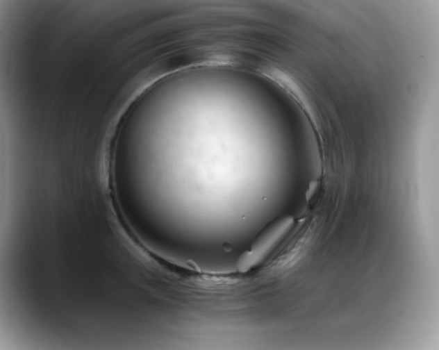 X0000088910851200706081340