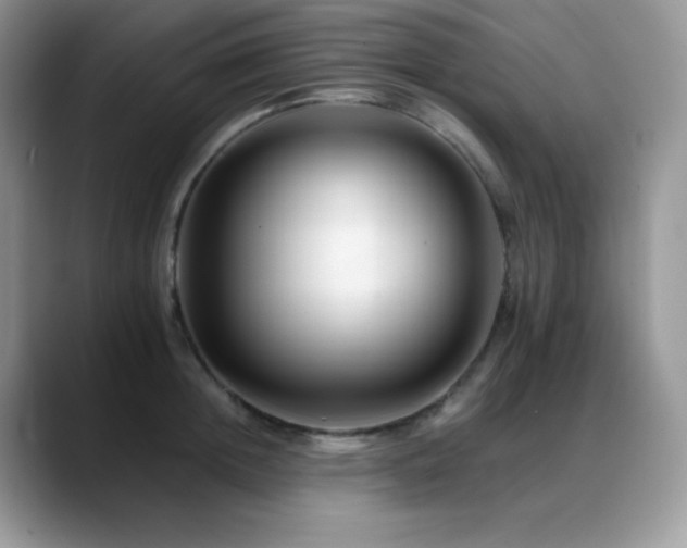 X0000088910852200706081340