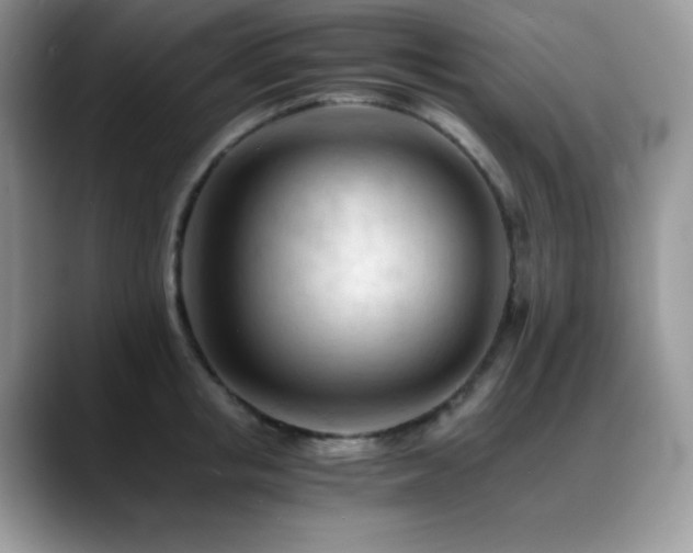 X0000088910853200706081340