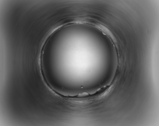 X0000088910855200706081340