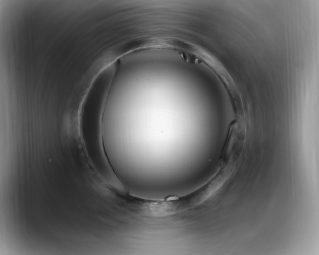 X0000088910858200706081340