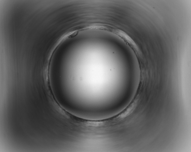 X0000088910860200706081340