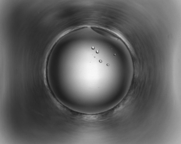 X0000088910861200706081340