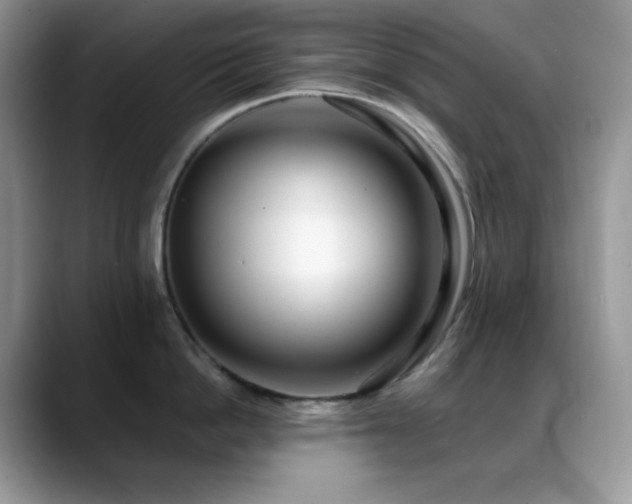 X0000088910862200706081340