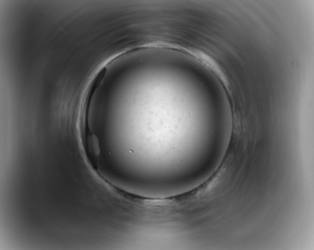 X0000088910863200706081340