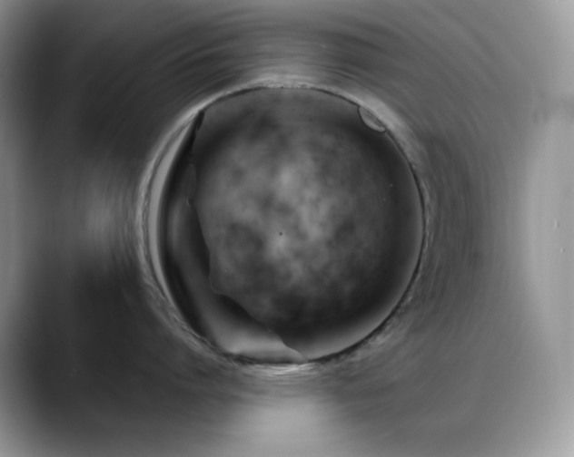 X0000088910864200706081340