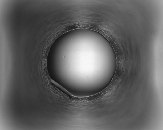 X0000088910865200706081340