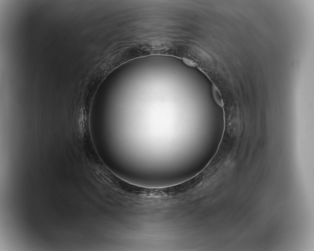 X0000088910866200706081340