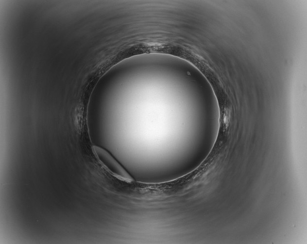 X0000088910867200706081339