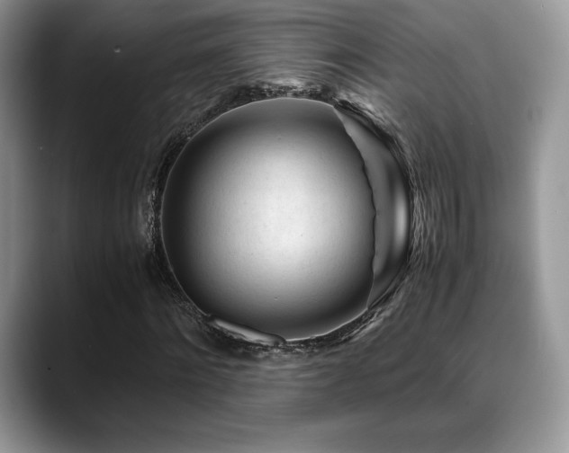 X0000088910868200706081339