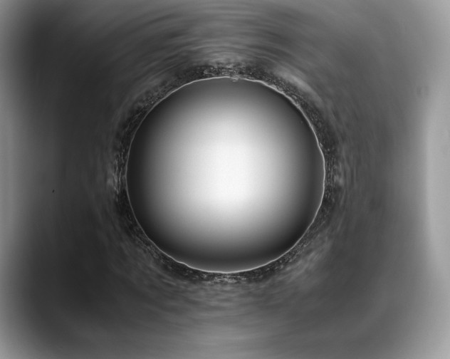 X0000088910869200706081339