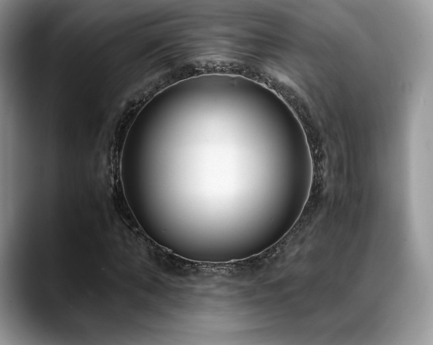 X0000088910870200706081339