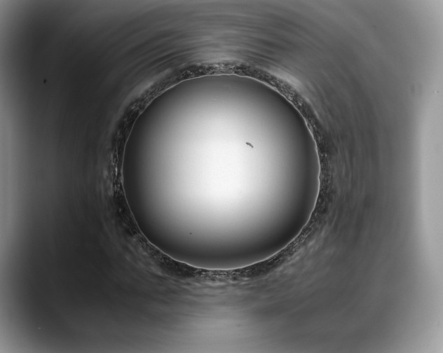 X0000088910871200706081339