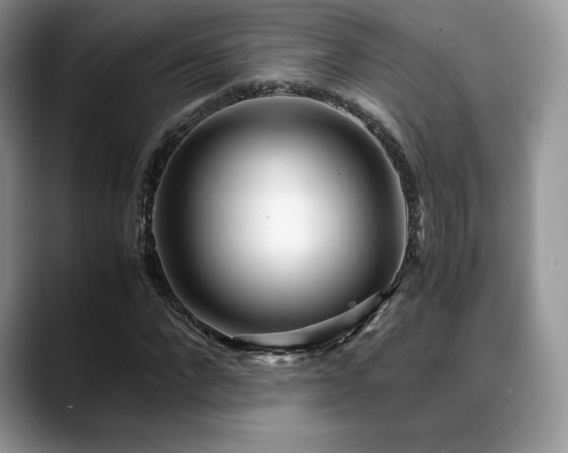 X0000088910872200706081339