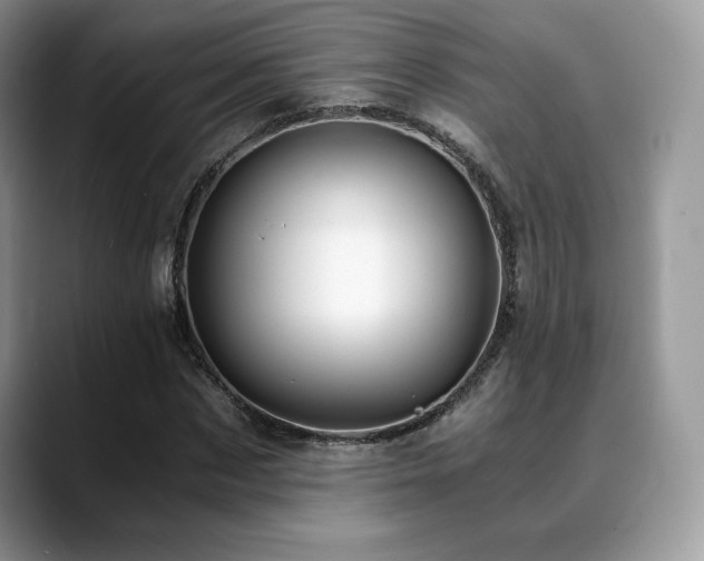 X0000088910873200706081339
