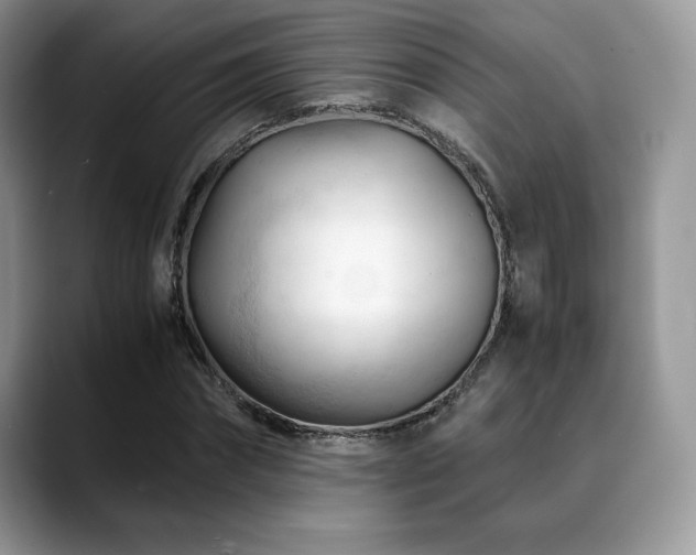 X0000088910874200706081339