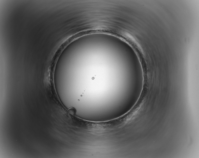 X0000088910875200706081339