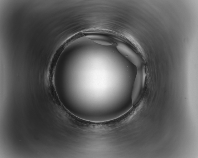 X0000088910876200706081339