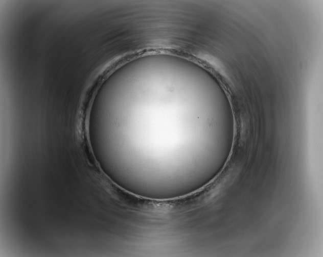 X0000088910878200706081339