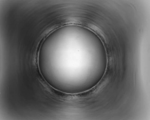 X0000088910882200706081339