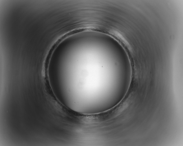 X0000088910883200706081339