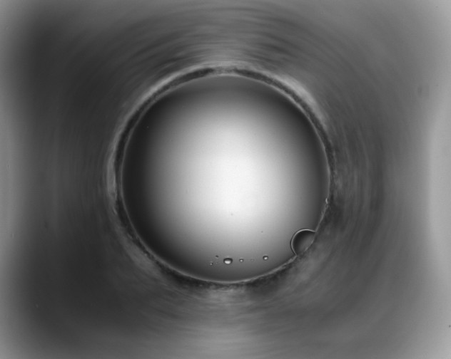 X0000088910887200706081339
