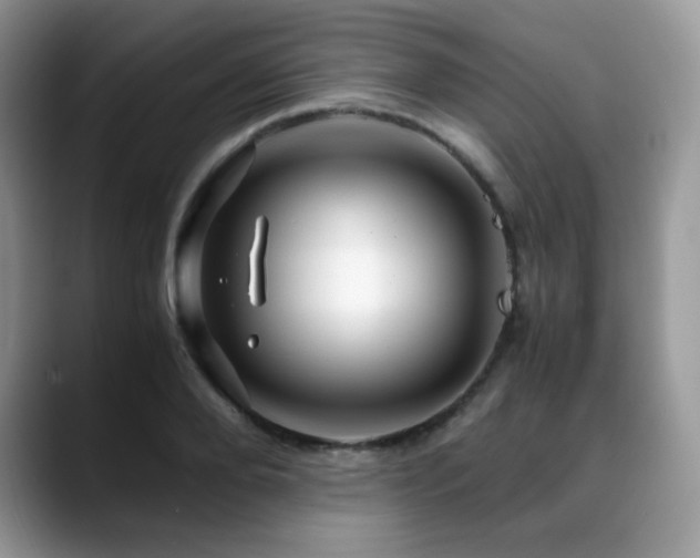 X0000088910888200706081339