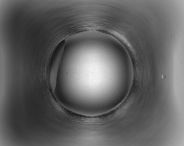 X0000088910889200706081339