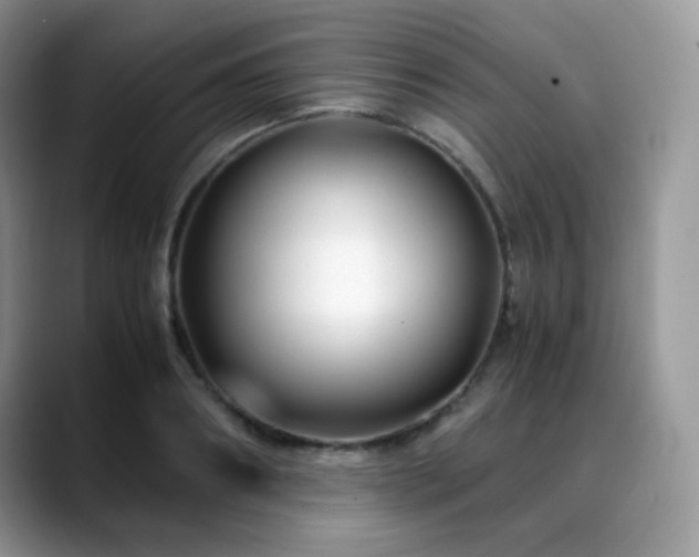 X0000088910890200706081339