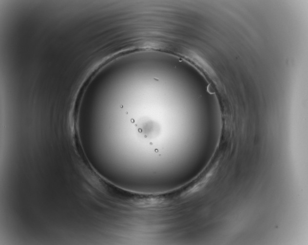 X0000088910891200706081339