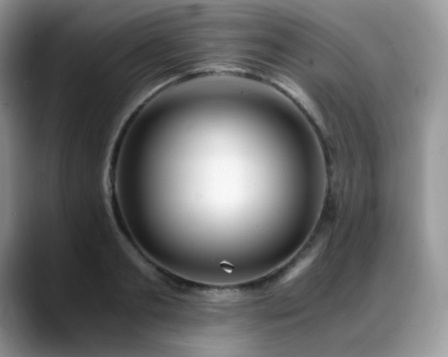 X0000088910893200706081339