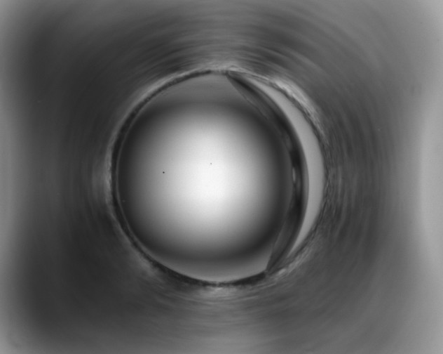 X0000088910894200706081339