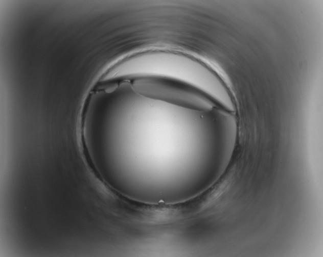 X0000088910895200706081339